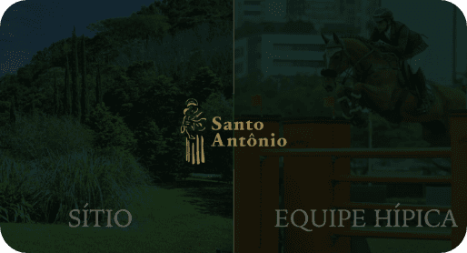 Website Santo Antônio
